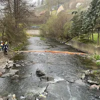2021-04-29_abc_ol_4.jpg